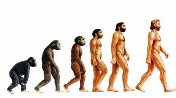 Evolution image